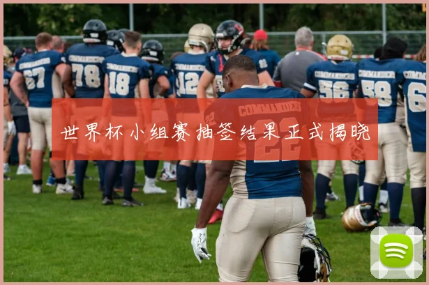 世界杯小组赛抽签结果正式揭晓